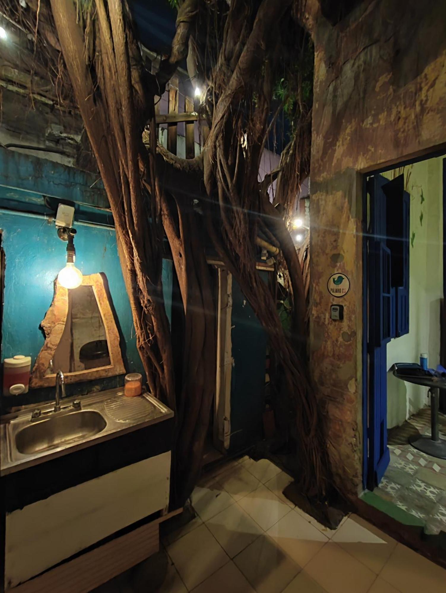 Chuchumbe Hotel & Hostal Veracruz Exteriér fotografie